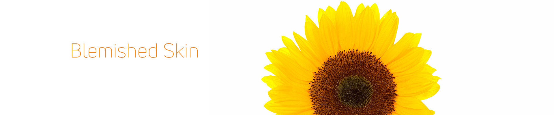 Blemished Skin | Blemished Skin treatment | Michael Todd Beauty